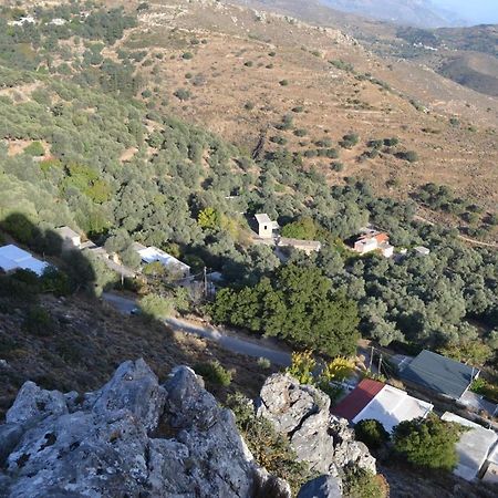 Garden Of Olive Trees Villa Asfendiles Exterior foto