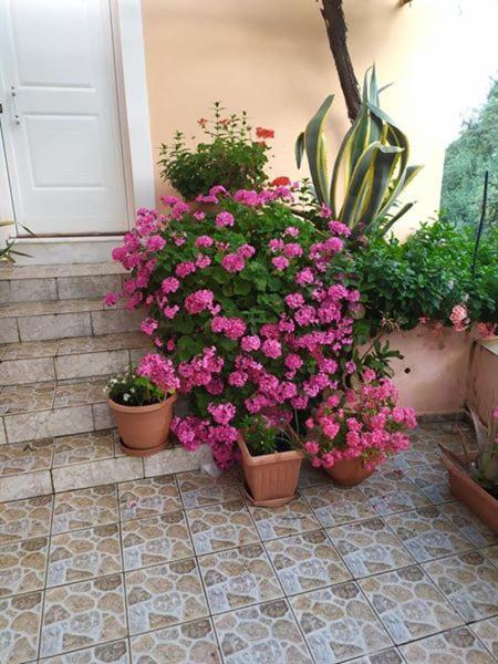 Garden Of Olive Trees Villa Asfendiles Exterior foto
