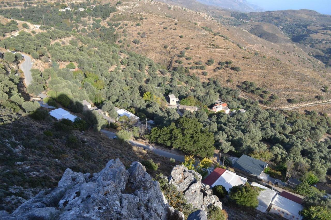 Garden Of Olive Trees Villa Asfendiles Exterior foto